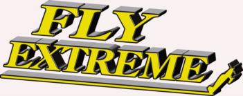 3 Dimensional Fly Extreme - yellow rc digital decal